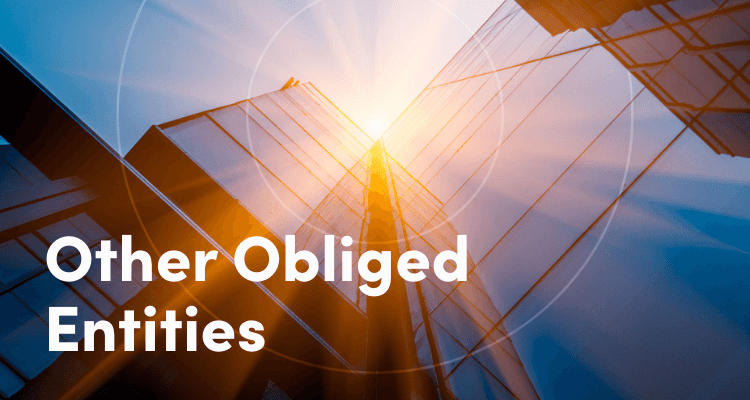 Obliged Entities AML requirements 